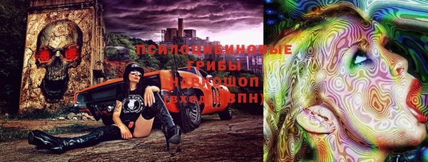 марки nbome Богданович