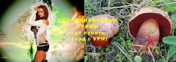 марки lsd Богородск