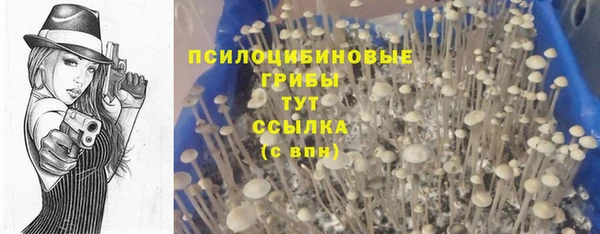 стафф Белоозёрский