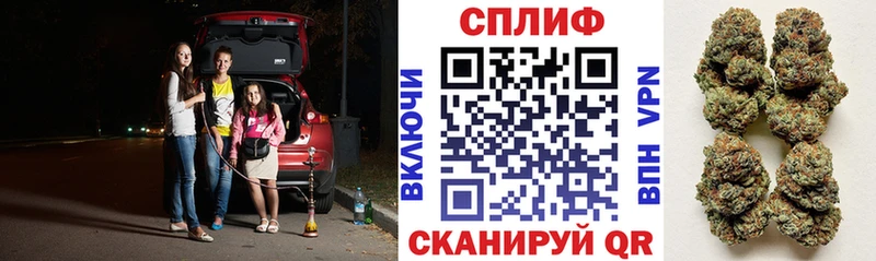 Марихуана марихуана Гатчина